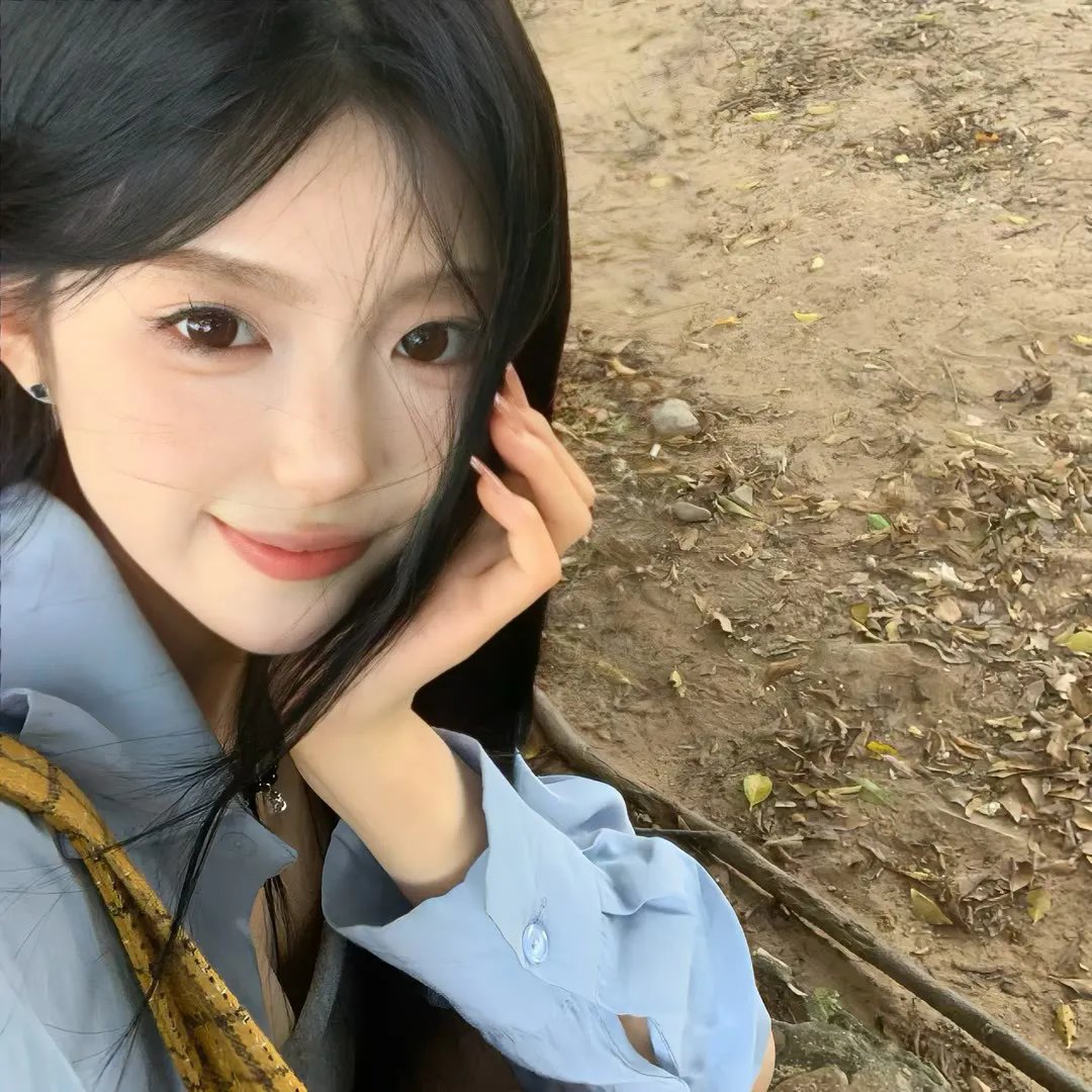 野生动物宝宝 第一季